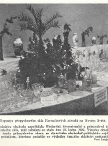 Expozice Harrachovské sklárny - Hr. Králové 1922