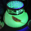 váza Pfauen Glas - Papillon