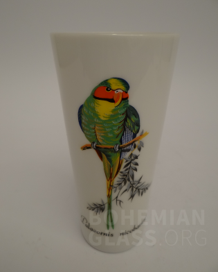 sklenice barevná malba exotický pták