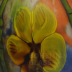 váza Flowerall