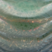 mísa Esmeralda - dunkelgrün wellenoptisch Ciselé